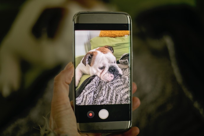 双方向通話で外出先から呼びかけられる。Alexa対応で映像確認の操作がスマートに