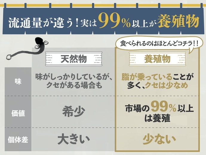 天然うなぎと養殖うなぎの違いとは?