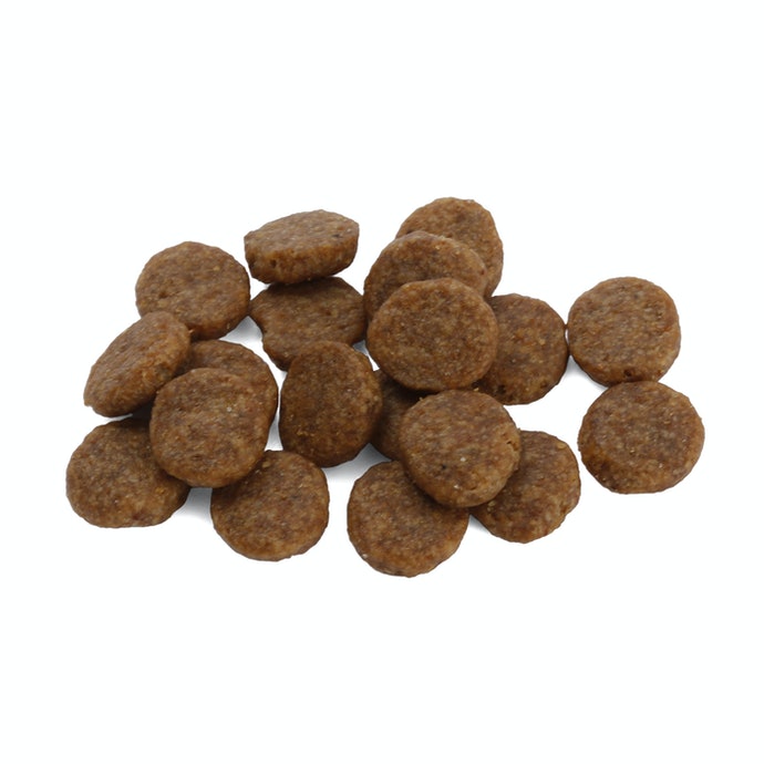 アイムス 成犬用 ラムを全24商品と比較 口コミや評判を実際に使ってレビューしました Mybest