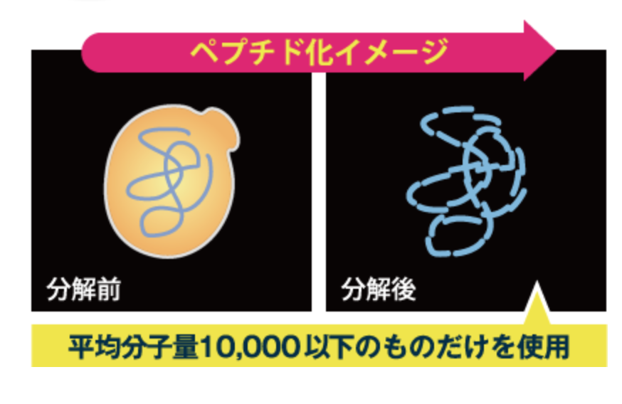 メタボリック イースト×エンザイムダイエットを全43商品と比較！口コミや評判を実際に使ってレビューしました！ | mybest