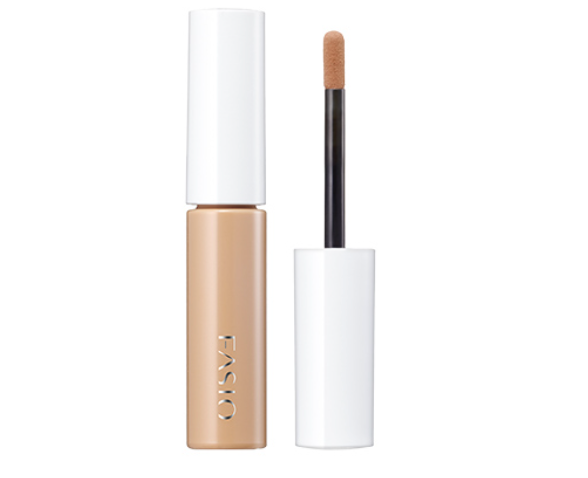 ファシオ チップトリック パウダー アイブロウ BR300をレビュー