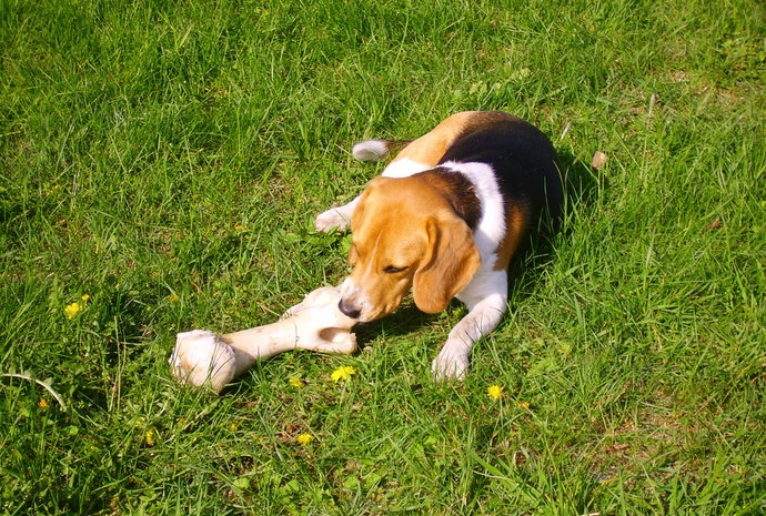 和の究み 歯みがきガムを全15商品と比較 口コミや評判を実際に使ってレビューしました Mybest