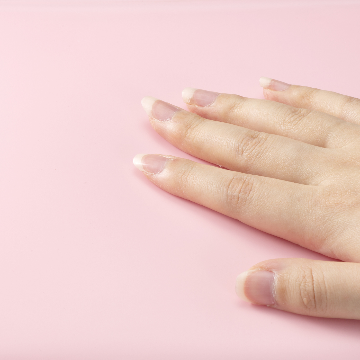 ニチドウ あったかマットソフトを他商品と比較 口コミや評判を実際に使ってレビューしました Mybest