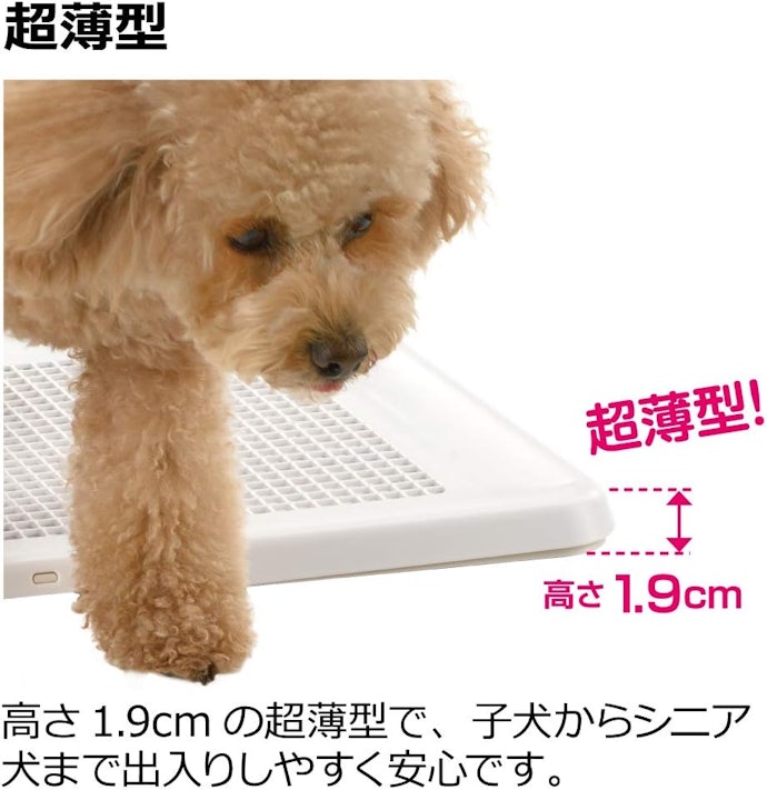 本体と入り口が同じ高さのフラットタイプ。子犬も出入りしやすい