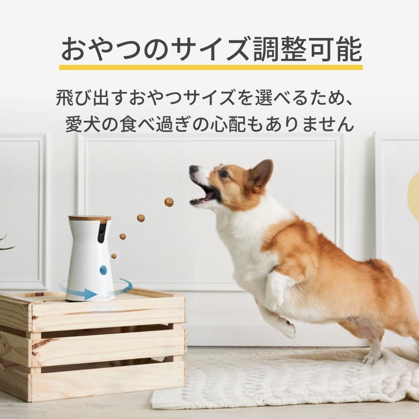 Furbo ドッグカメラ 360°ビューをレビュー！クチコミ・評判をも