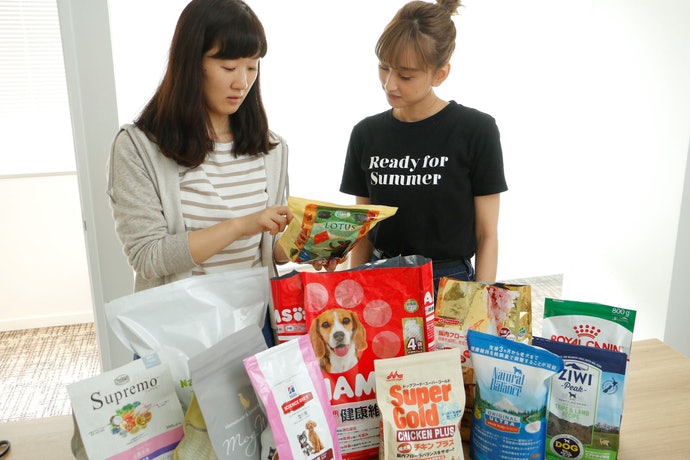 森乳 スーパーゴールド チキンプラス 成犬用15kg