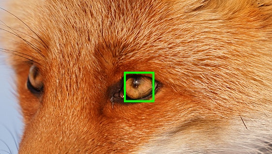 オートフォーカスセンサーは693点。ハイエンド機にも搭載の4Dフォーカスに対応