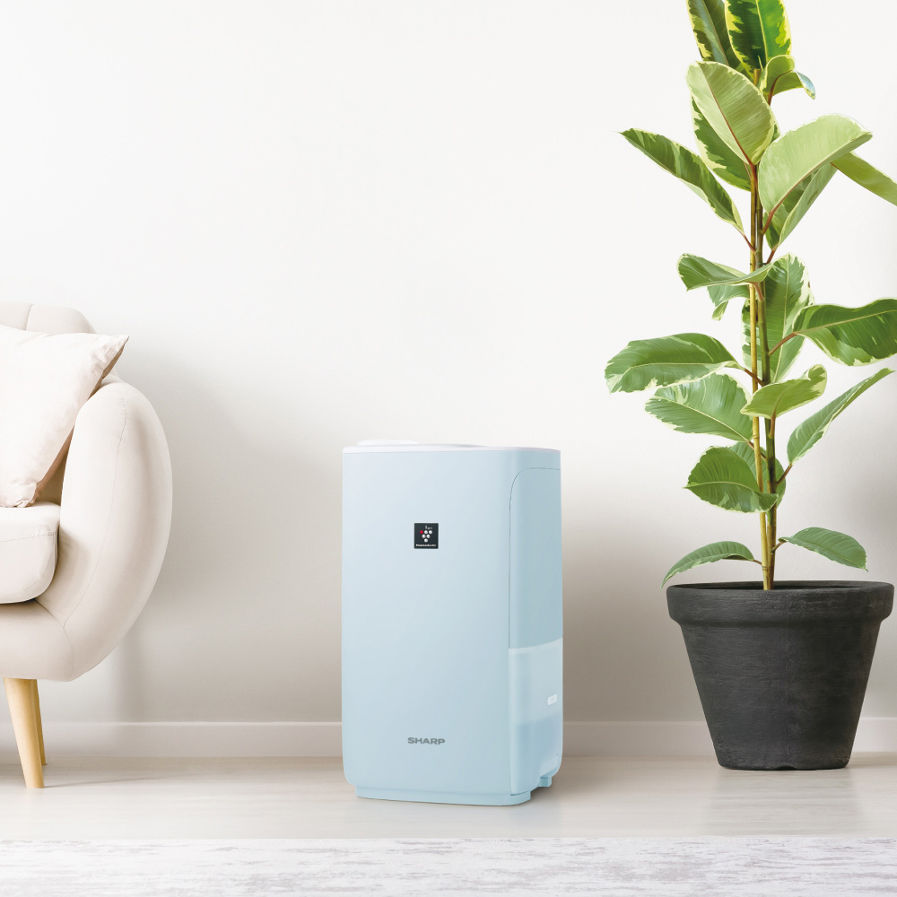 シャープ プラズマクラスター加湿器 HV-R55をレビュー！クチコミ