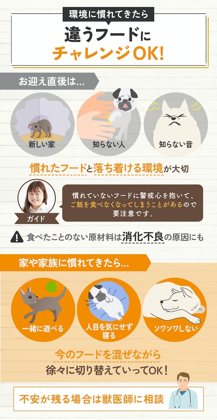 子犬のフードを変えるタイミングはいつ?