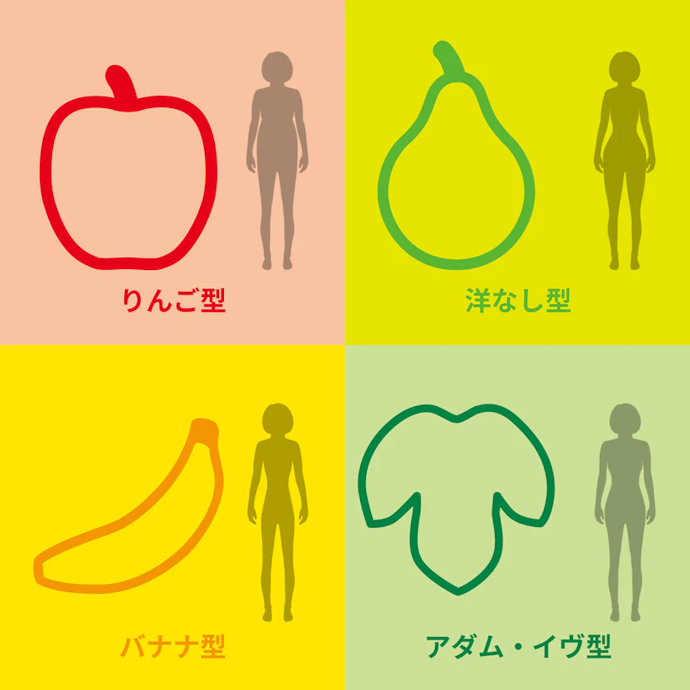 遺伝子を解析して、4つの肥満タイプに分類