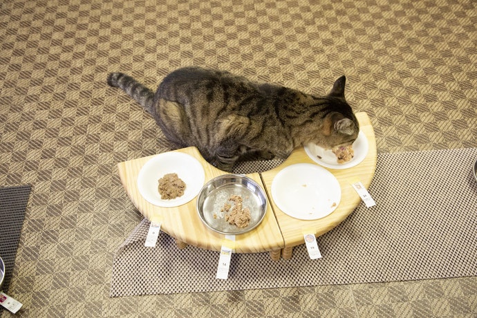 金缶芳醇 パウチをレビュー！クチコミ・評判をもとに徹底検証