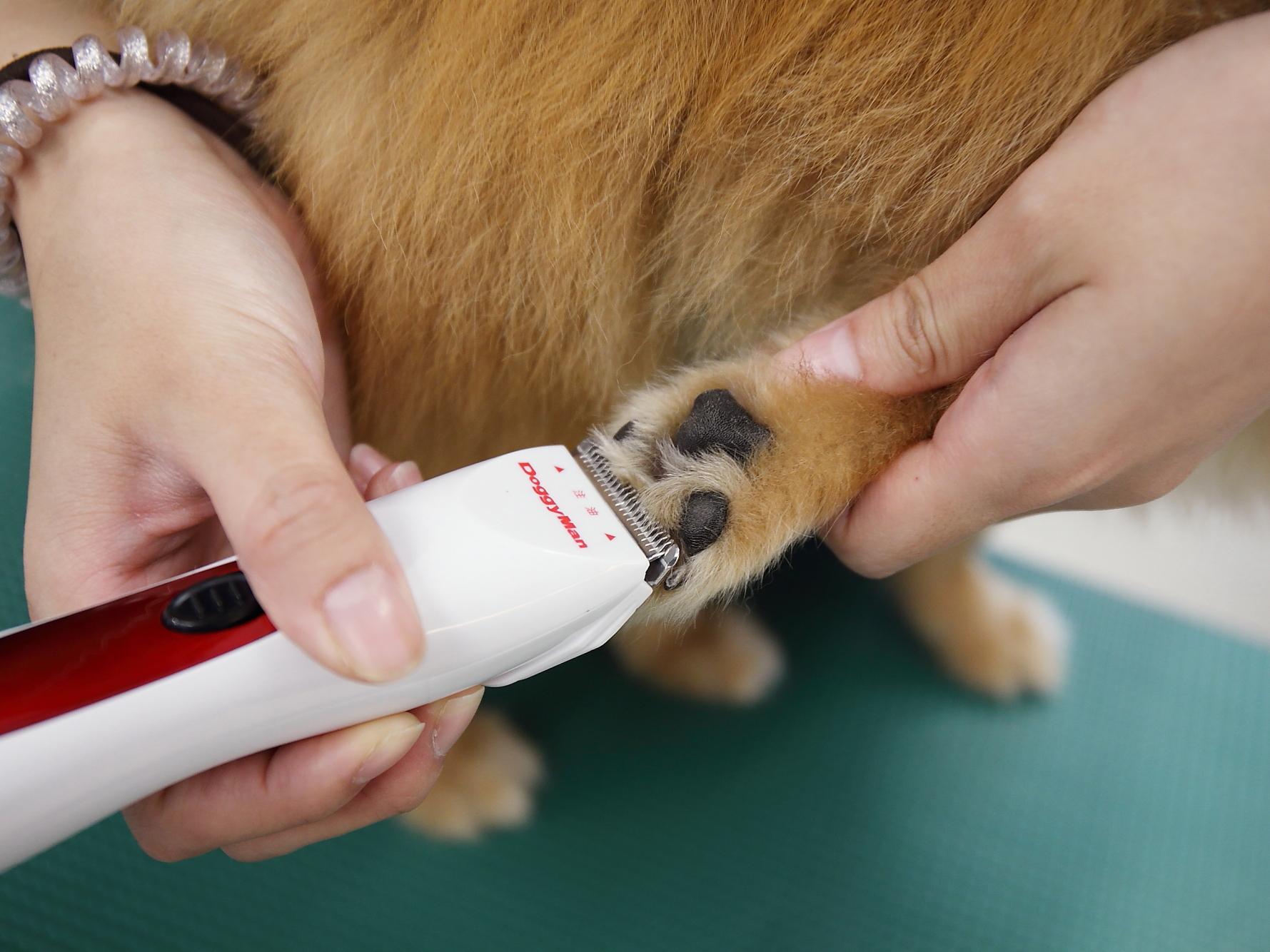 ドギーマン ホームバーバー 部分カットバリカンを他商品と比較 口コミや評判を実際に使ってレビューしました Mybest