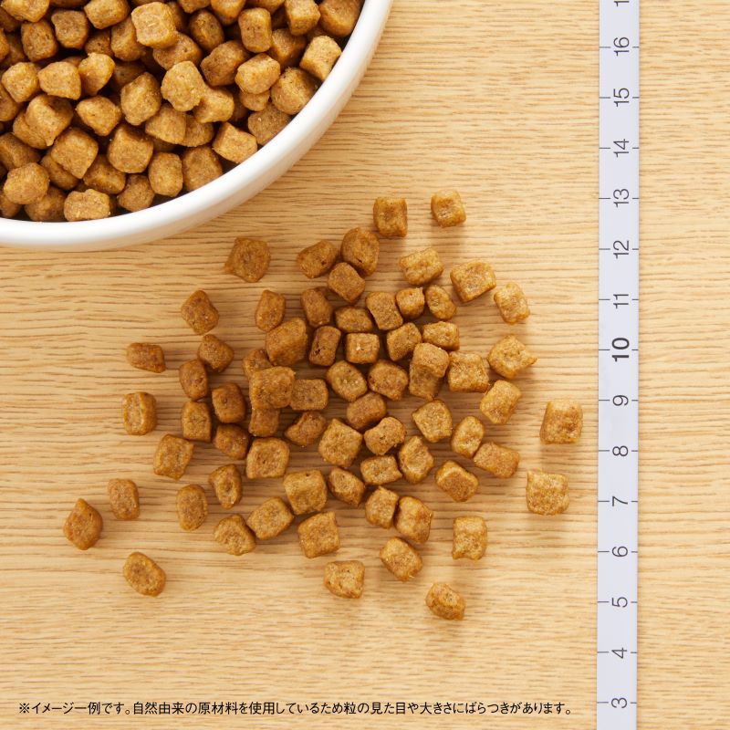 犬用品 ニュートロナチュラルチョイス チキン＆玄米 小型犬 成犬用 15.5kg