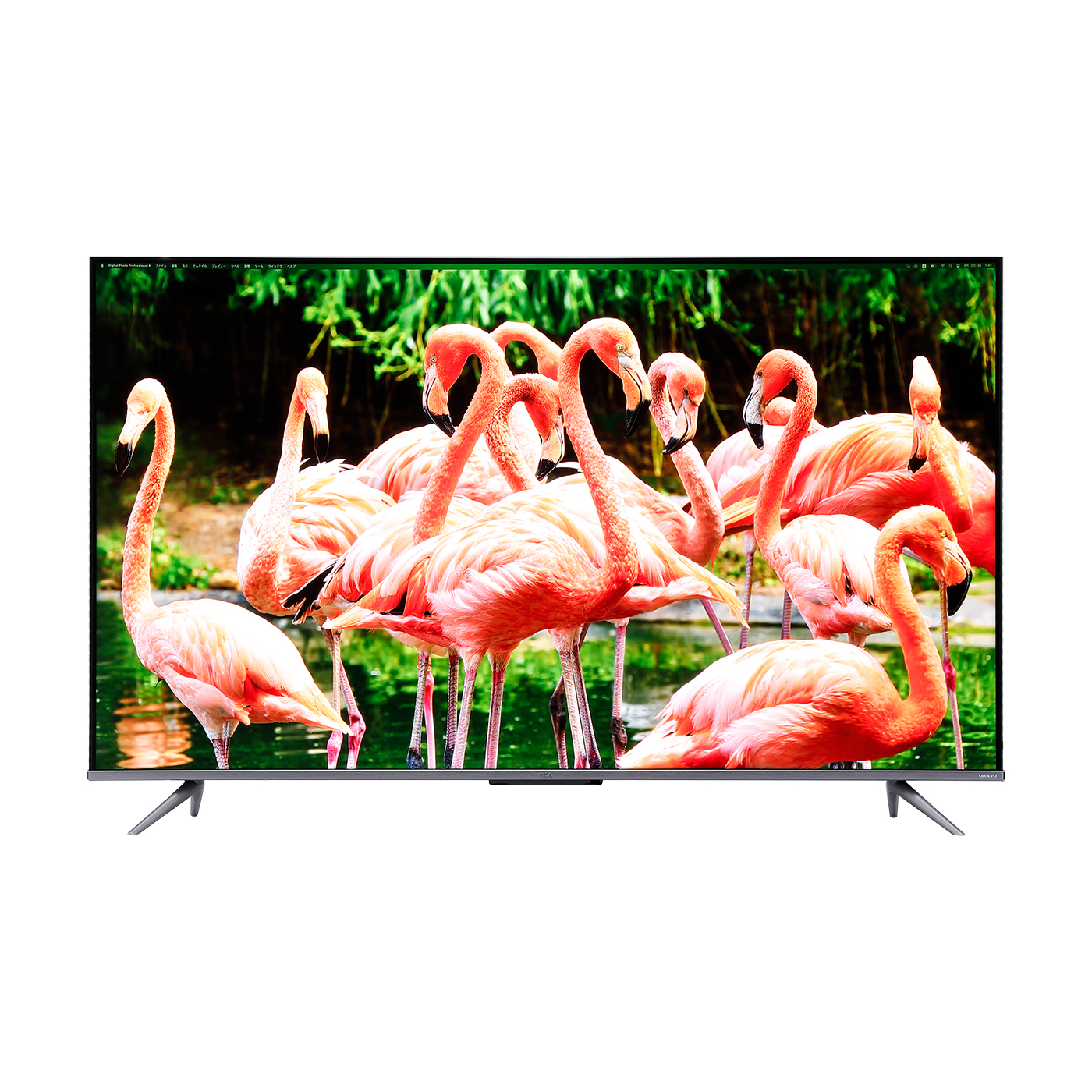 ★ TCL 量子ドット 4K液晶テレビ 50C635 Amazon | TCL 50V型 4K 液晶テレビ QLED技術 スマートテレビ