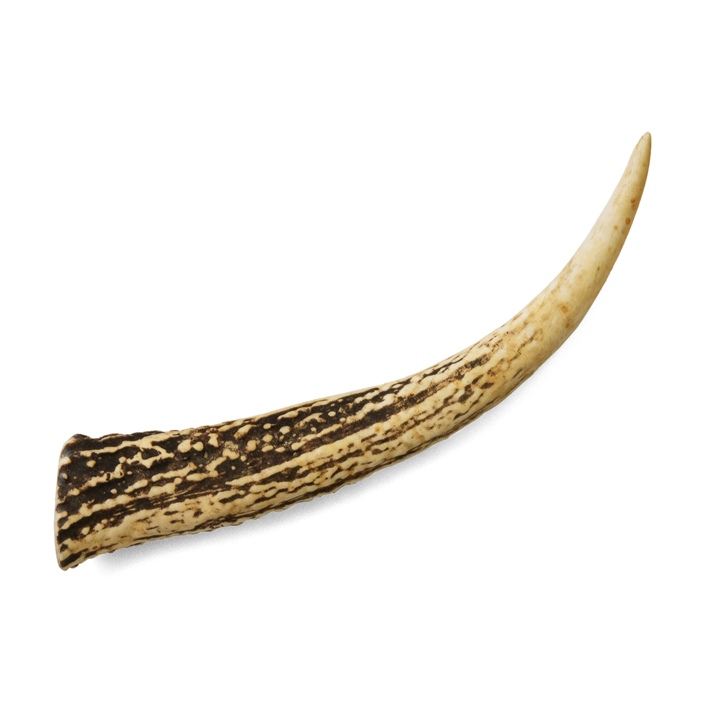 33b8281227daebb72c1b97880182c4