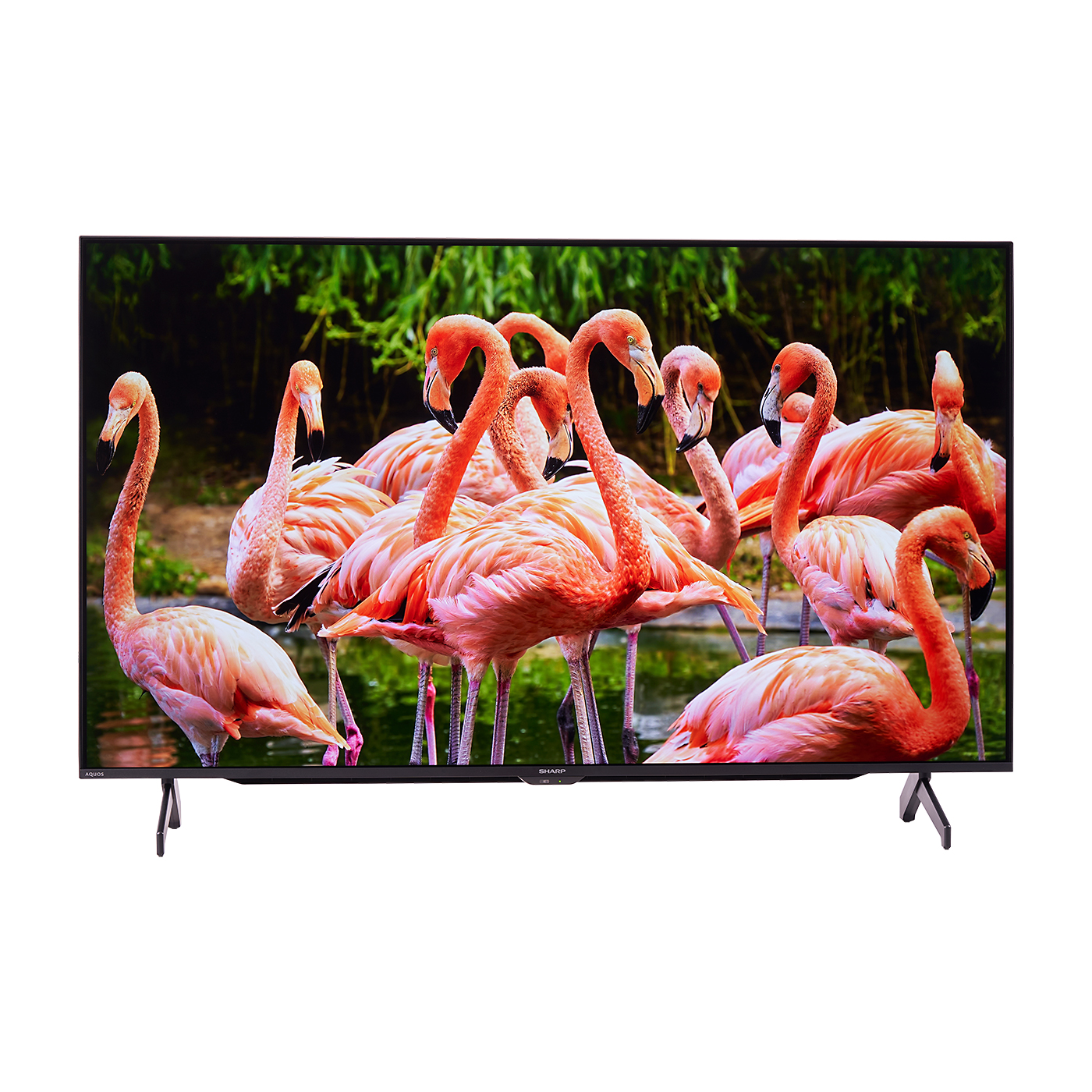 シャープ 液晶カラーテレビ 4T-C50AJ1 画面中央に影あり 液晶