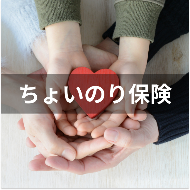 東京海上日動火災保険 ちょいのり保険は他の1日自動車保険とどう違うの?