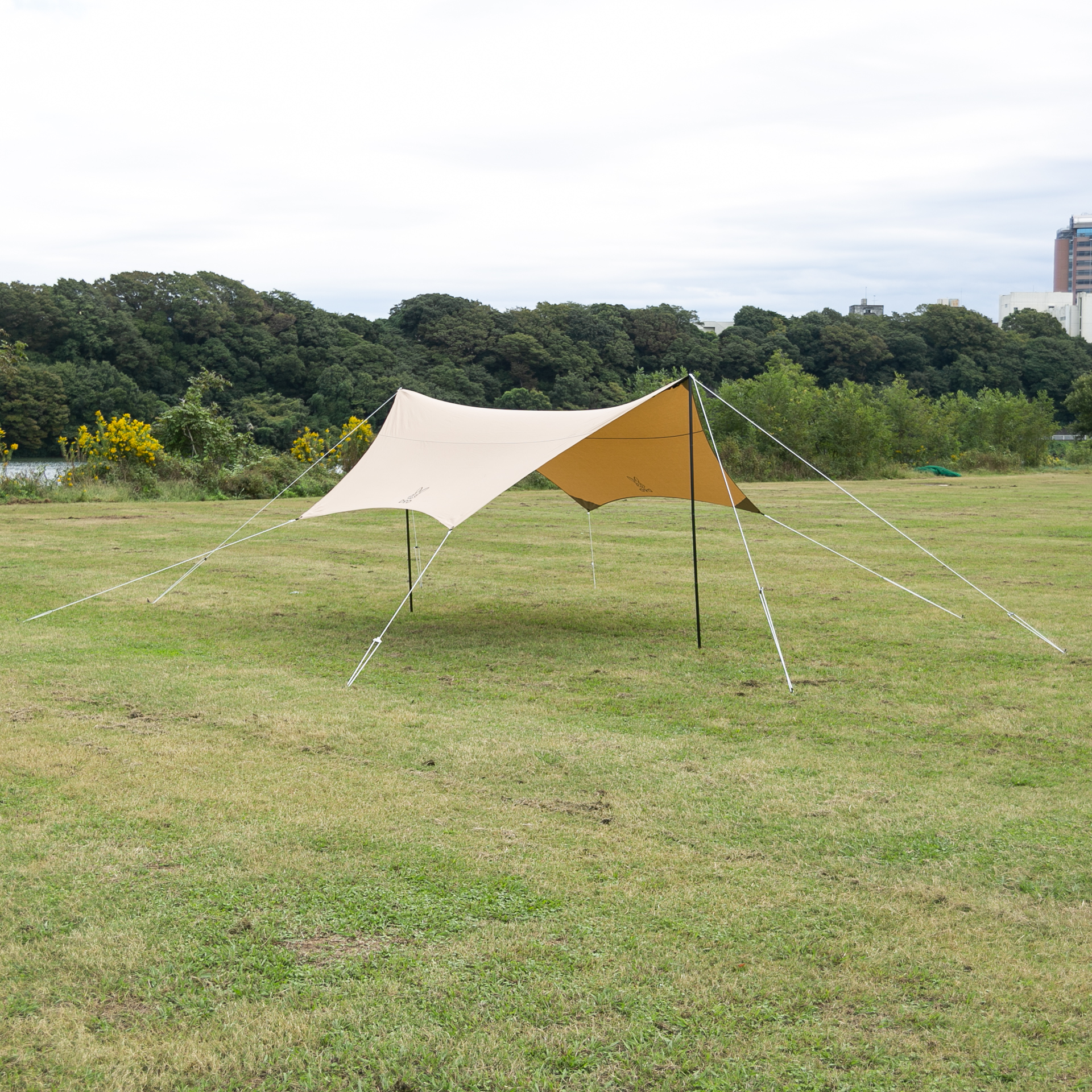 789876a23019ed0d3878b77bf22af8