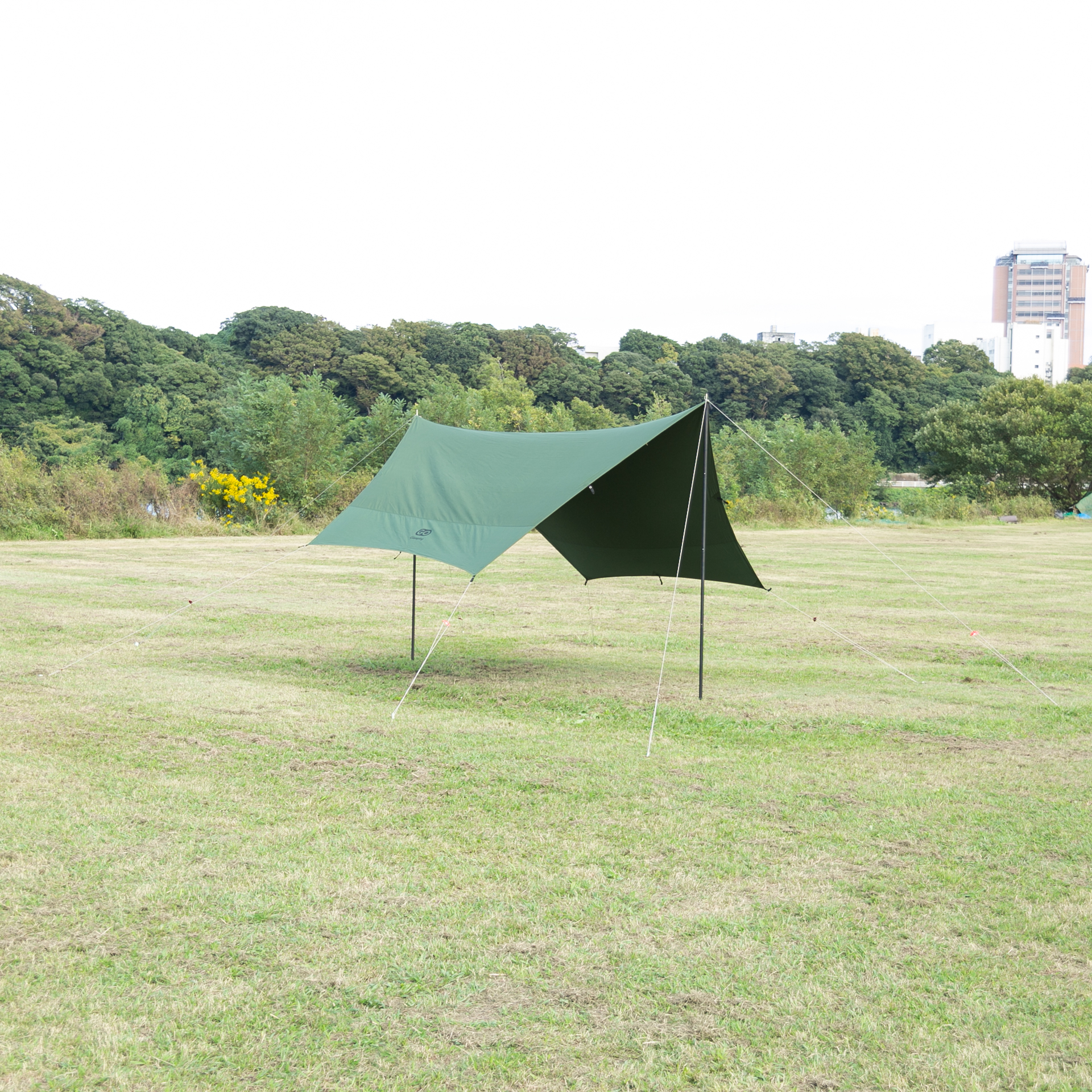 82516dc79a33fd51270cbf3061889f