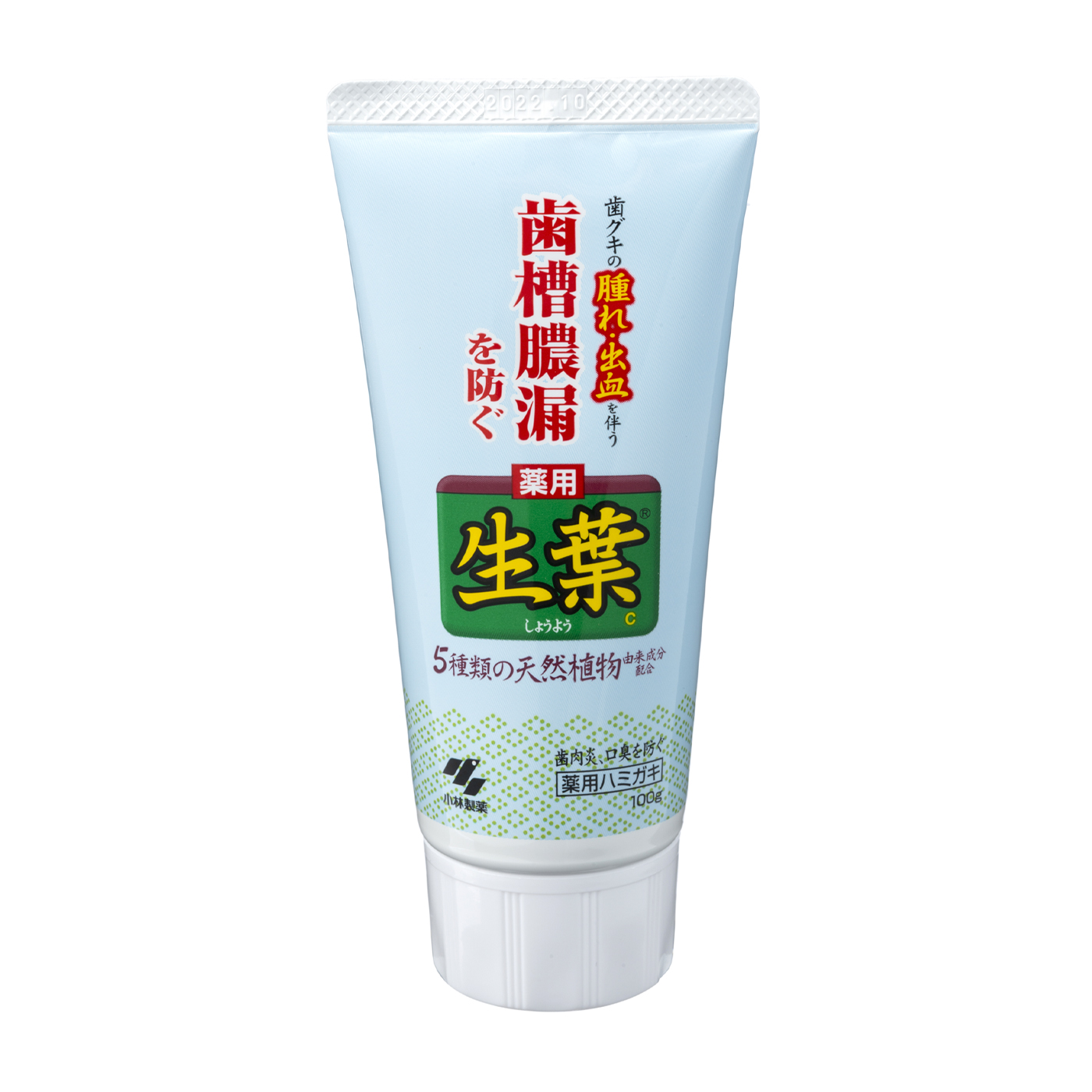 驚きの安さ 小林製薬 生葉 しょうよう B 100g 歯周病 知覚過敏用歯磨き粉 ハミガキ ポイント最大倍対象 Www Federasul Com Br