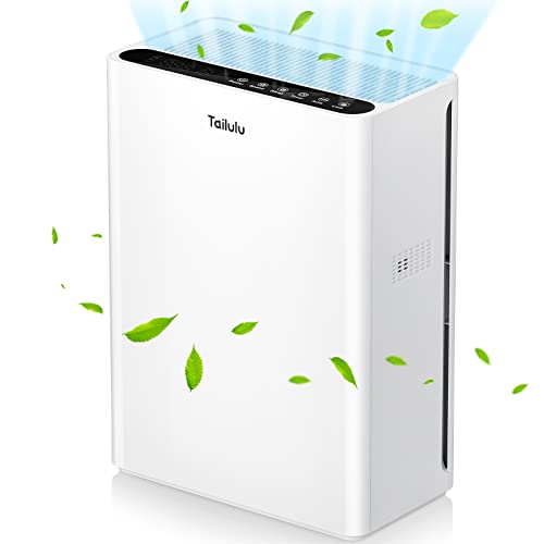【2台セット‼️】Tailulu HQZZ-260 35～50畳対応 02 空気清浄機 50畳対応 パワフル 静音 空気洗浄機 高性能 集じん