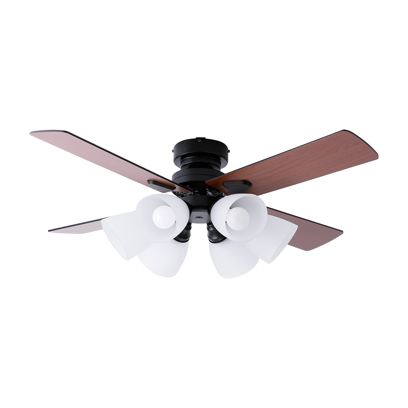 ベガコーポレーション LOWYA Lasvolta 6Lを検証レビュー！シーリング