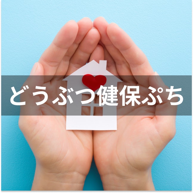 アニコム損害保険 どうぶつ健保ぷちは他の猫のペット保険とどう違うの?