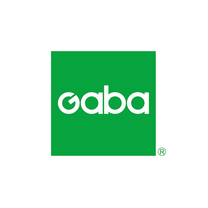 GABA Gabaマンツーマン英会話は他のビジネス英会話スクールとどう違うの?