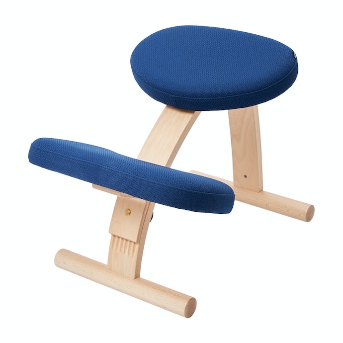 【美品】バランスイージー balance Easy バランスラボ チェア f45104d36470ac14bf693acc20ea00