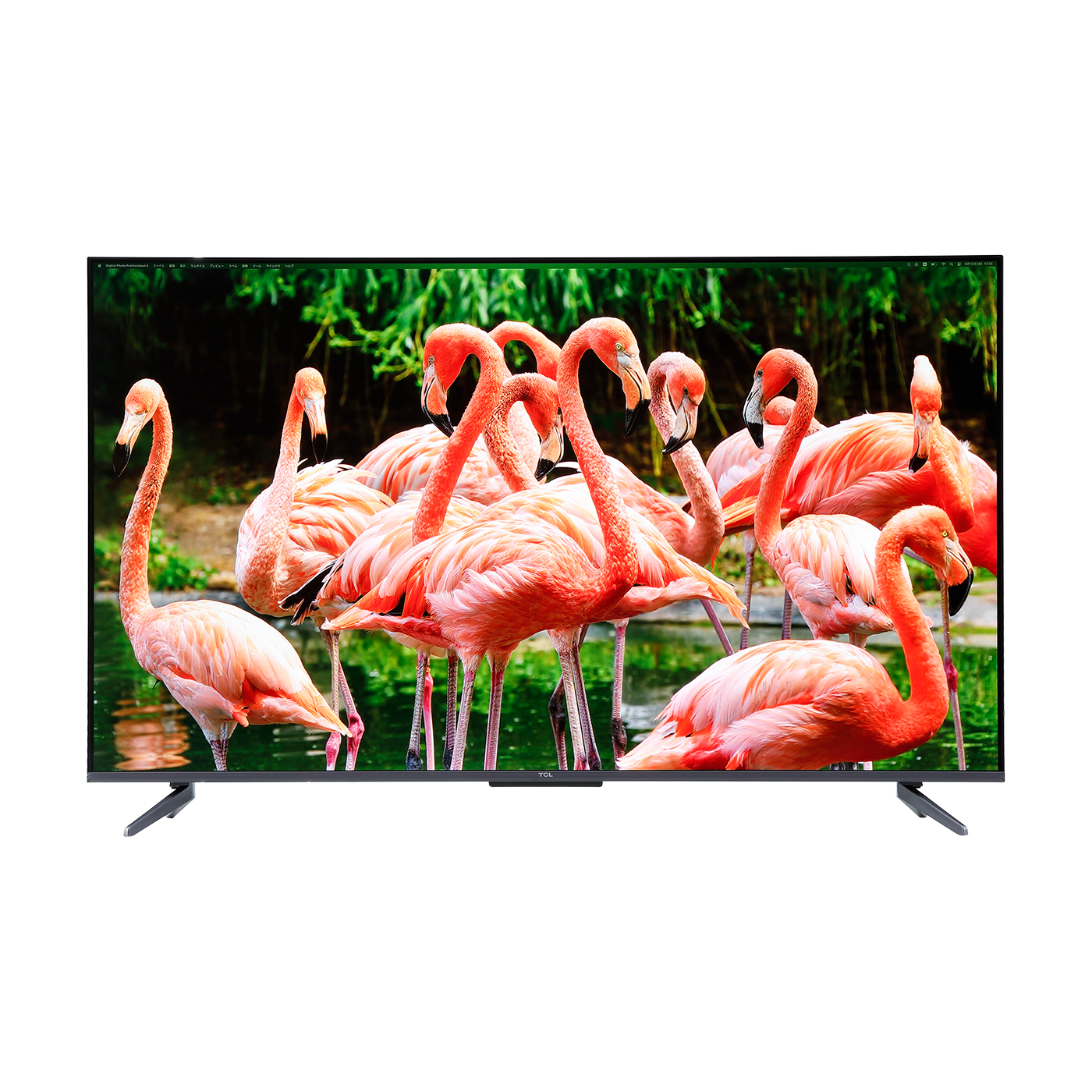 TCL 50インチ 4K スマートテレビ Amazon.co.jp: TCL 50V型 4K液晶 量子ドットPro 50C655 Google