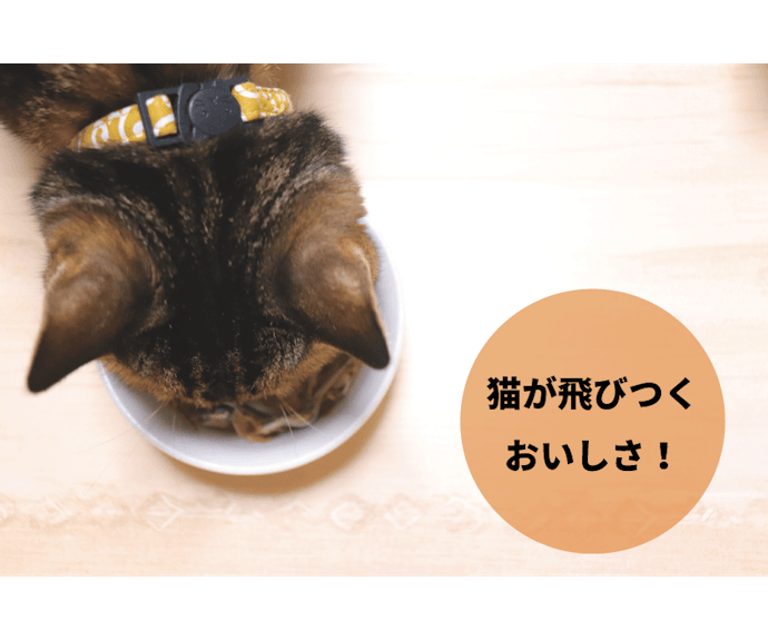 愛猫の腎・泌尿器の健康サポートに】neco-ri(ねこり)を徹底 愛猫の腎・泌尿器の健康サポートに】neco-ri(ねこり)を徹底