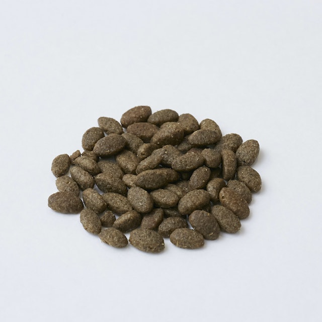 ニュートロ ナチュラル チョイス 穀物フリー アダルト サーモンを