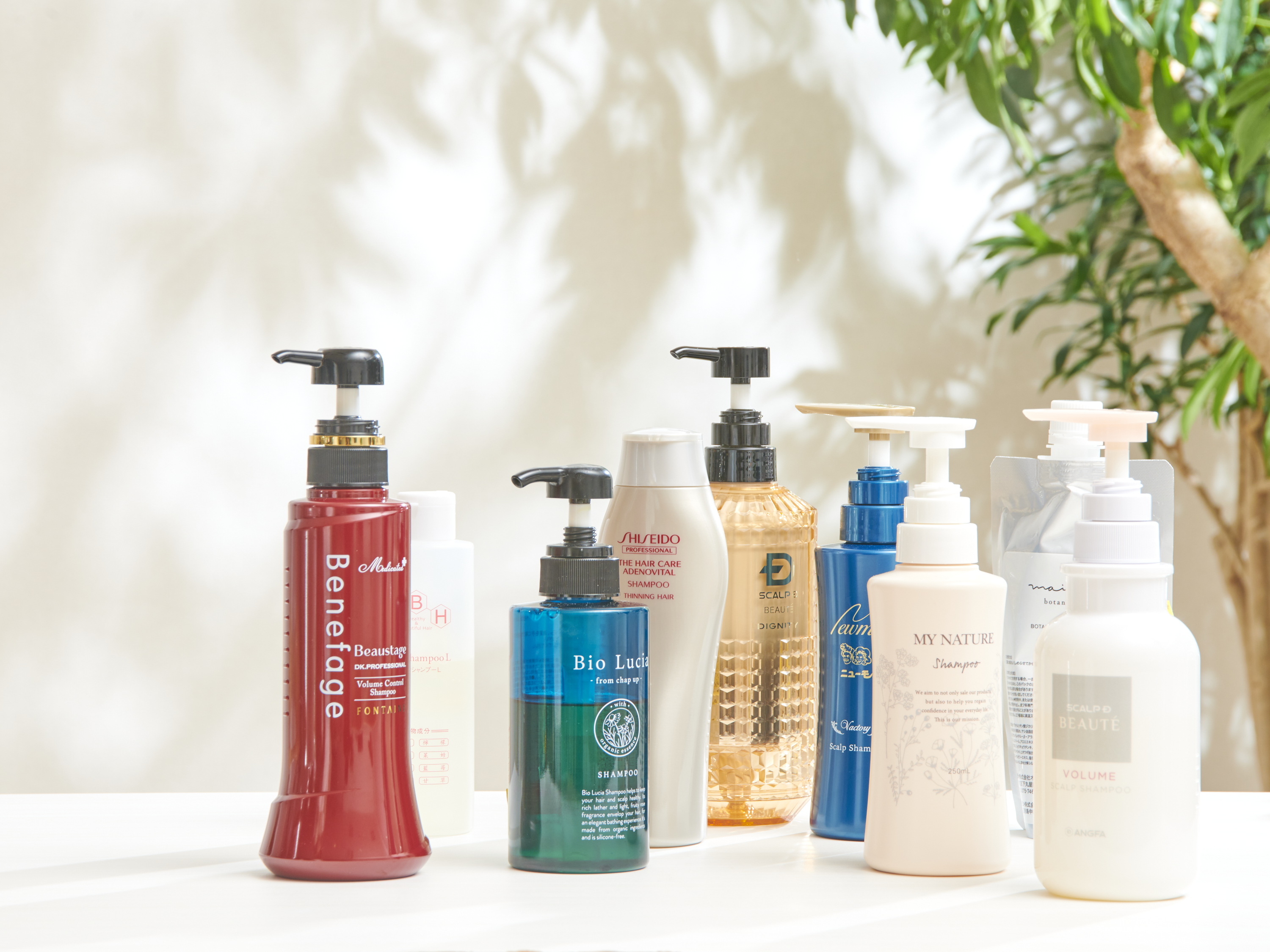 スカルプD ボーテ ディグニティ ザ スカルプシャンプーをレビュー