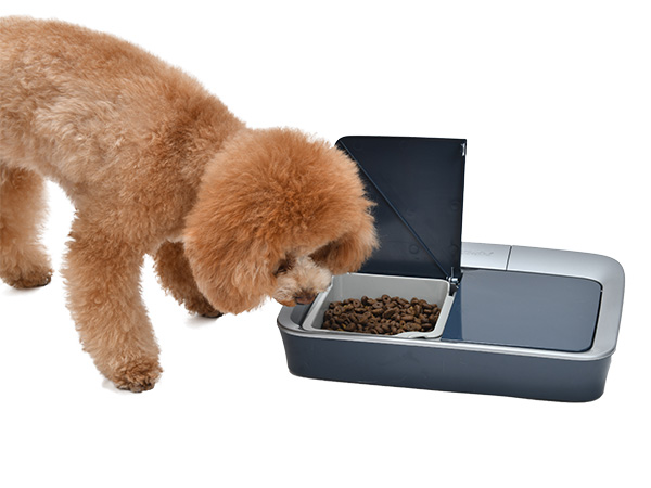 PetSafe 新品未使用 おるすばんフィーダー デジタル 2食分 バージョン2 pf-0729849172937.jpg