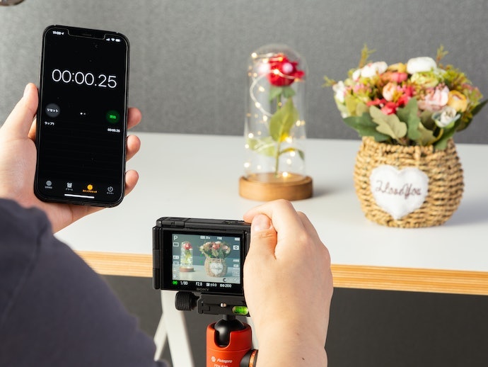オートフォーカスの性能はまずまず。ピント合わせに迷いは見られない