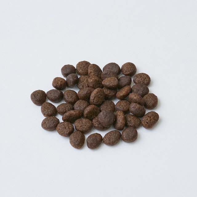 レティシアン　送料込　カナガン　キャットフード　新品　未開封　3セット　チキン レティシアン カナガンキャットフード チキンをレビュー