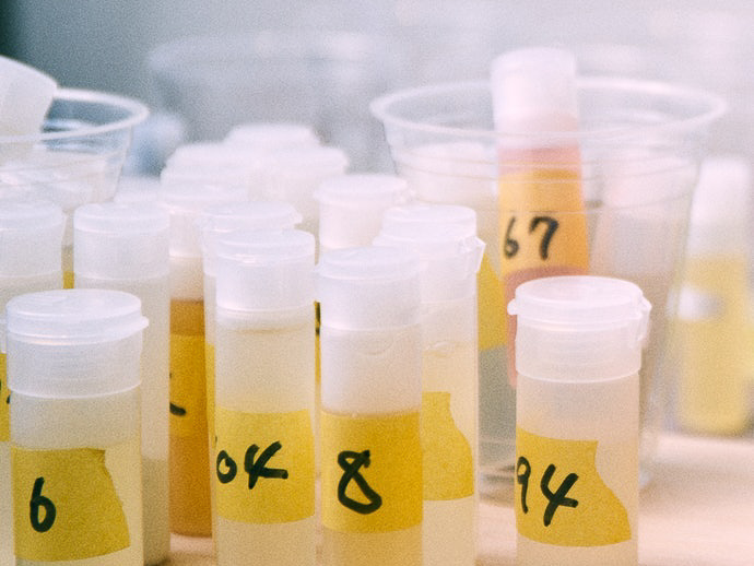 サンスタートニック 爽快頭皮ケアシャンプーを他商品と比較 口コミや評判を実際に使ってレビューしました Mybest