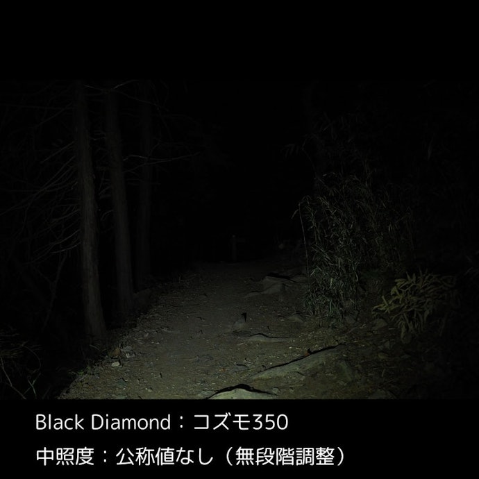 ブラックダイヤモンド コズモ350のデメリットは1つ!