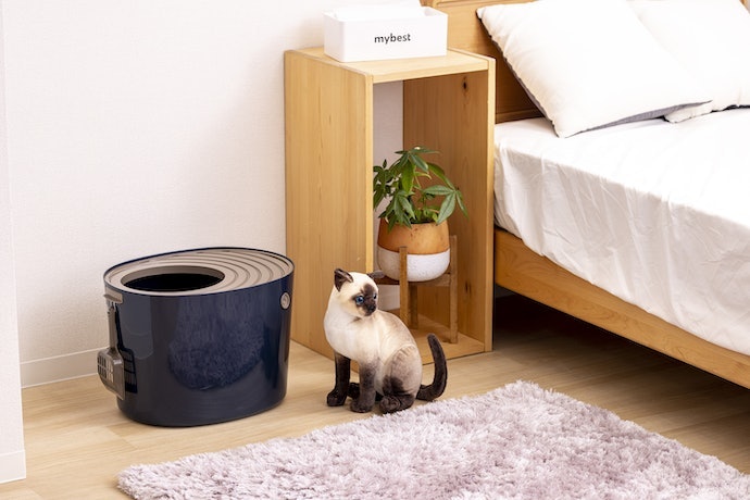 出入口以外が壁で覆われたドーム型で、猫砂の飛び散りを防止できる