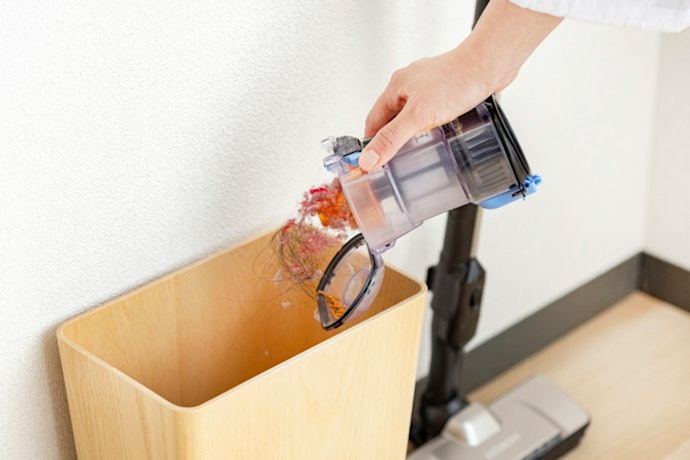 紙パック式でお手入れの手間が少ない。ブラシも毛などが絡まりにくい