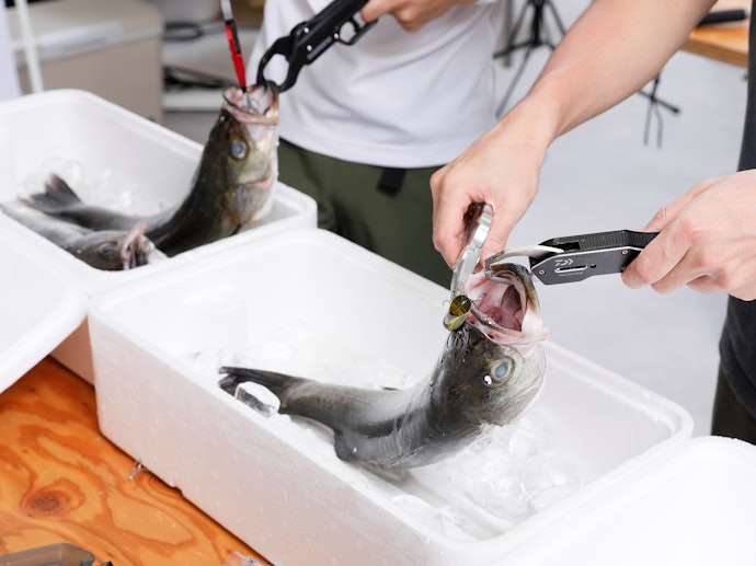 フックに届けば掴みやすいが、口の奥まで入ると取り外しに苦戦する