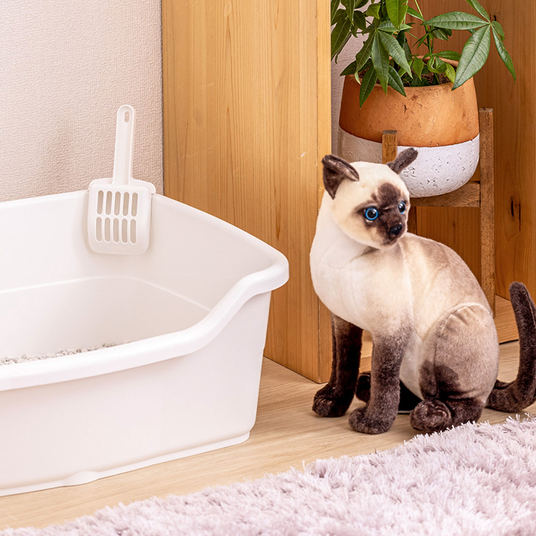 驚きの価格 リッチェル 猫 トイレ ラプレ ネコトイレ 深型 60 ホワイト かわいい 固まる 猫砂 飛び散らない 清潔 落ち着く キャットトイレ ネコ  buxo.cat