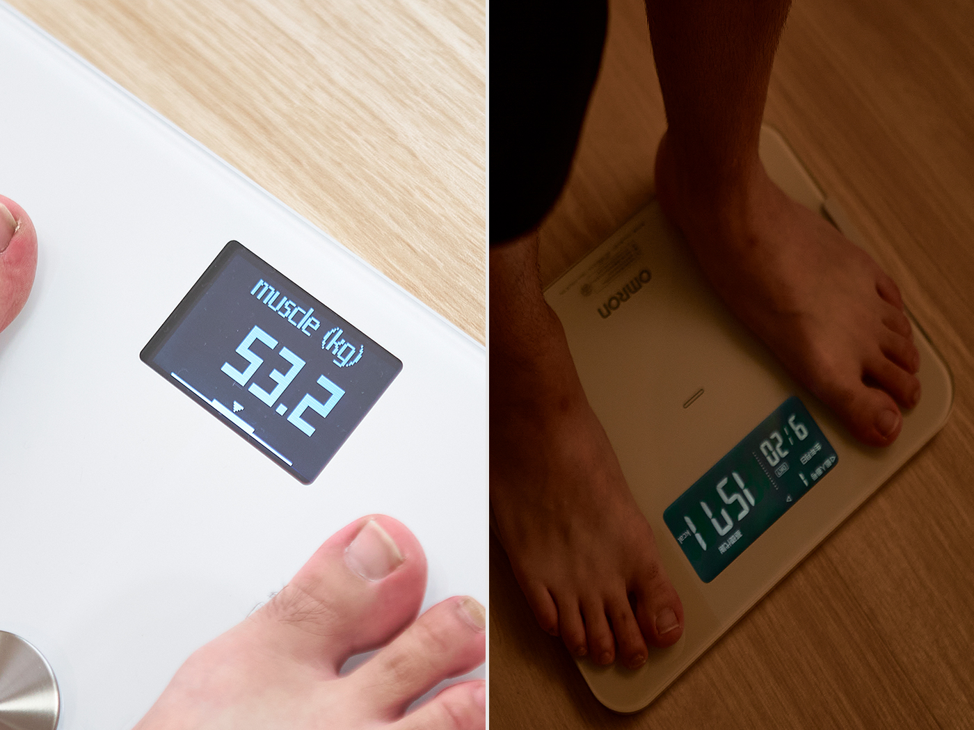 Fitbit Aria2をレビュー！クチコミ・評判をもとに徹底検証