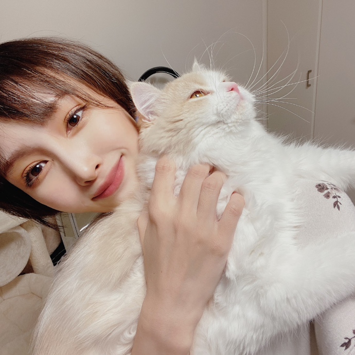 愛猫の腎・泌尿器の健康サポートに】neco-ri(ねこり)を徹底 愛猫の腎・泌尿器の健康サポートに】neco-ri(ねこり)を徹底