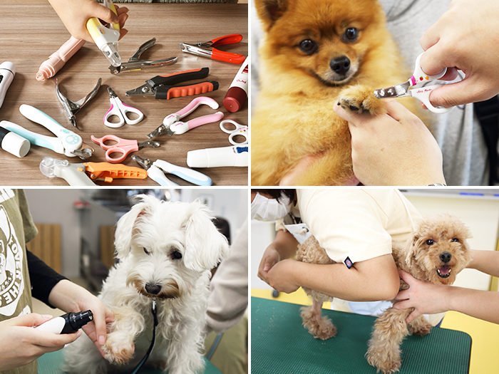 ハニースマイル Nhs 爪切りヤスリセットを他商品と比較 口コミや評判を実際に使ってレビューしました Mybest