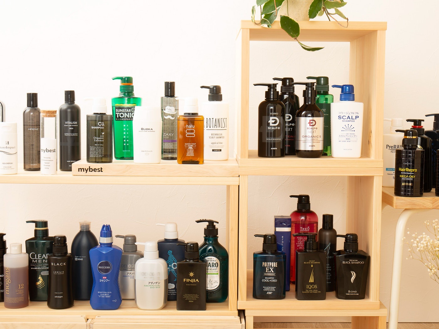 サクセス シャンプー ボリュームアップタイプを全41商品と比較 口コミや評判を実際に使ってレビューしました Mybest