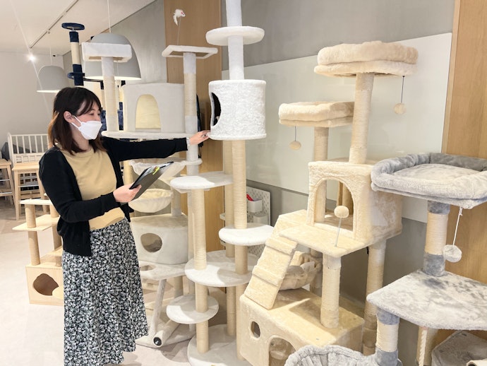 福和楽 RAKU 木登りタワー シングルの評価方法は?売れ筋の人気キャットタワー19商品を徹底比較検証