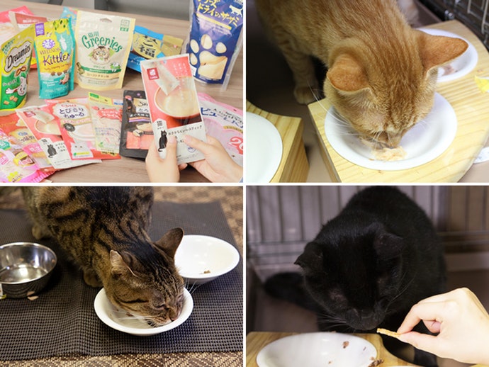 ドギーマン 猫の毛玉ケアスナック まぐろ味を全27商品と比較！口コミや評判を実際に使ってレビューしました！ | mybest