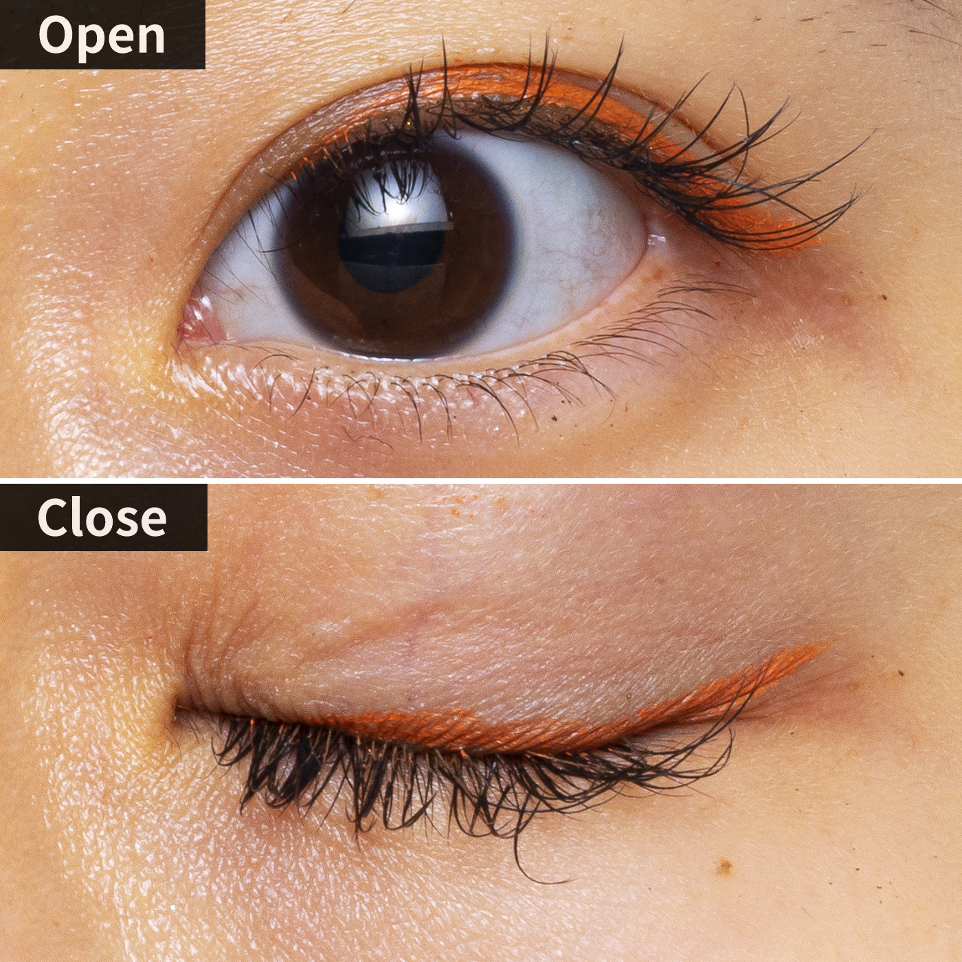 0bf26e0cda5b4c8bf2d782c97ee3c5