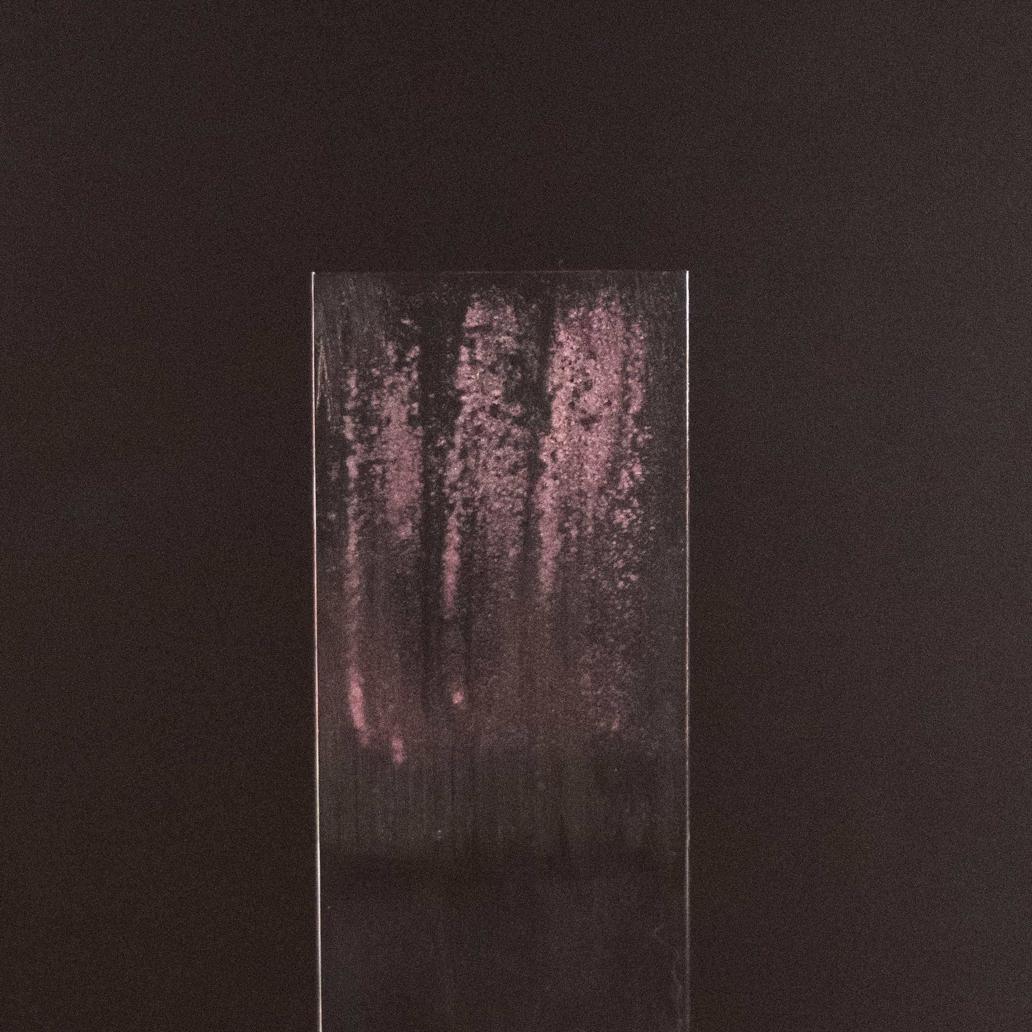 ソープ オブ ヘアを全23商品と比較 口コミや評判を実際に使ってレビューしました Mybest